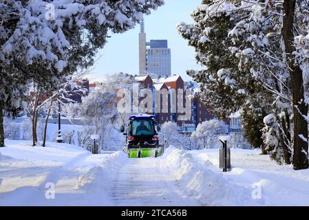 Reinigung der Straßen im Winter. Ein Traktor entfernt im Winter Neuschnee aus einem wunderschönen, schneebedeckten Park. Dnipro, Ukraine Stockfoto