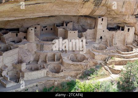 Cliff Palace im Mesa Verde National Park in Colorado, USA Stockfoto