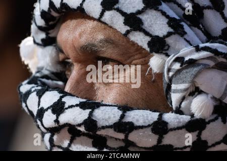 Santiago, Metropolitana, Chile. Dezember 2023. Pro-palästinensische Demonstranten versammeln sich vor der US-Botschaft in Santiago während einer Kundgebung, um einen Waffenstillstand im Gazastreifen zu fordern. (Kreditbild: © Matias Basualdo/ZUMA Press Wire) NUR REDAKTIONELLE VERWENDUNG! Nicht für kommerzielle ZWECKE! Stockfoto