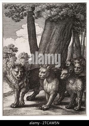 Wenzel Hollar - die Raubtiere und die Maus. Stockfoto