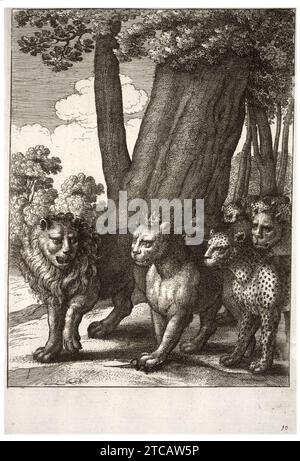 Wenzel Hollar - die Raubtiere und die Maus 2. Stockfoto