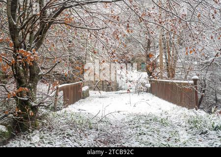 Die schneebedeckte Brücke überquert die Allt a Gheallaidh im November. Speyside, Morayshire, Schottland Stockfoto