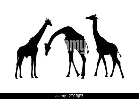 Handgezeichnetes Giraffen-Design Stock Vektor