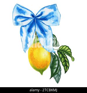 Zweig mit Zitronen, gebunden mit einer blauen Schleife Aquarellabbildung. Handgezeichnete Zweige mit gelben Zitrusfrüchten, die mit einem Verband verziert sind. Italienischer Stil Stockfoto
