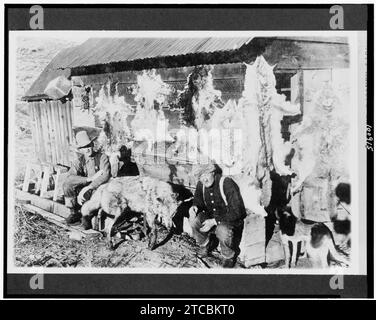 White River N.F. Rio Blanco County, Colorado. Govt. Jäger im Lager Stockfoto