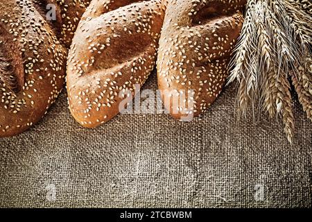 Knusprige Roggenohren auf hessischem Hintergrund Stockfoto