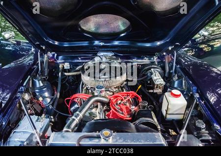 Der alte Auto-Motor im amerikanischen Automobil Stockfoto