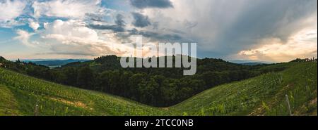 Weinberge panorama Leibnitz Gegend berühmt Ziel Wein Land, im Süden der Steiermark, Österreich. Touristische Destination. Grüne Hügel der Trauben ernten und Berge Stockfoto