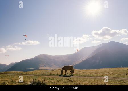 Hintergrund Landschaft Pferd in der Nähe des Berges und Fallschirmjäger am Himmel in Georgien an einem Herbsttag Stockfoto