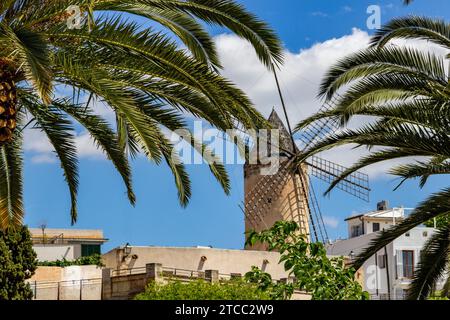 Windmühle in Palma de Mallorca auf der Balearen Insel Mallorca, Spanien an einem sonnigen Tag mit Palmen vor Stockfoto