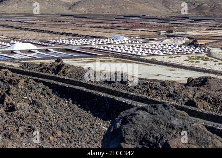 Salinas de Janubio an der Südwestküste der Kanareninsel Lanzarote, Spanien Stockfoto