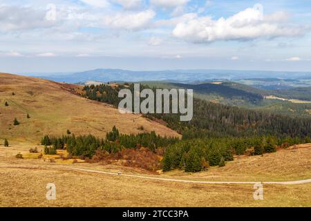 Blick vom Feldbergturm auf die Landschaft des Schwarzwaldes im Herbst Stockfoto