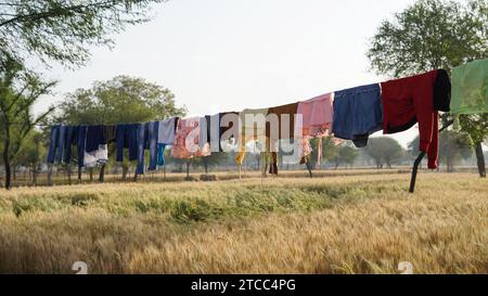 Nach dem Waschen trocknet bunte Kleidung auf einer Wäscheleine im Garten draußen im Sonnenlicht. Wäscheleine mit frisch gewaschener Kleidung draußen drinnen Stockfoto