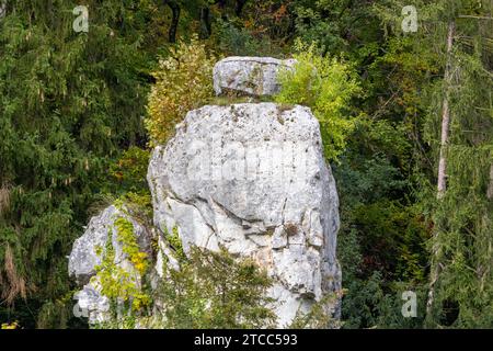 Felsformationen, die als Napoleon's Travel casel an der Donau Durchbruch in der Nähe von Kelheim, Bayern, Deutschland Stockfoto