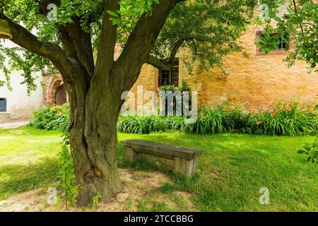 Das Kloster DEU Sachsen Klosterbuch Buch ist ein ehemaliges Zisterzienserkloster, das als St. Marienkloster im 12. Jahrhundert. Nach der Reformation Stockfoto