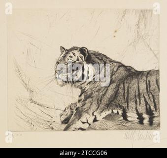 Wilhelm Kuhnert Tiger Radierung. Stockfoto