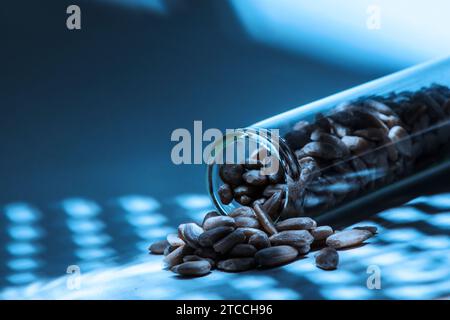 Nahaufnahme einer liegenden offenen Glasröhre mit Flaxseed-Körnern, die mit Effektbeleuchtung und einem blau getönten Ton heraustropfen. Stockfoto