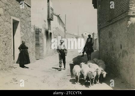 Altes Apiär. Juli 1937. Spanischer Bürgerkrieg. Das Leben in Colmenar Viejo entwickelt sich normal, trotz des harten Schlags, den die Stadt durch die Bombardierung feindlicher Flugzeuge erfuhr. Auf dem Bild sehen Sie einige Hirten, die sich um ihre Schafe kümmern. Quelle: Album / Archivo ABC / Albero y Segovia Stockfoto