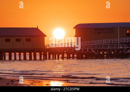 Eine goldene Sonne, die zwischen Bootshäusern auf einem Küstenpier bei Queenscliff auf der Bellarine Peninsula in Victoria, Australien, aufgeht. Stockfoto