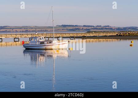 Ein einziges Fischerboot reflektiert sich auf den stillen Gewässern eines Küstenhachthafens in Queenscliff auf der Bellarine Peninsula in Victoria, Australien. Stockfoto