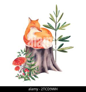 Ein Aquarellfuchs auf einem Waldstumpf zwischen Fliegenpilzen und Weihnachtsbäumen auf weißem Hintergrund. Kinderillustration. Für Designer, Clipart, Logo, Stockfoto