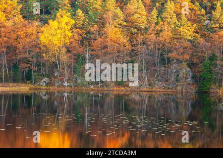 Herbstfarben am stillen See Stockfoto