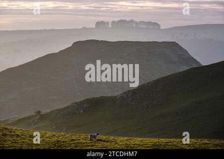 Thorpe Cloud von Thorpe Pasture, Peak District National Park, Derbyshire, England Stockfoto