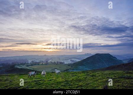 Thorpe Cloud von Thorpe Pasture, Peak District National Park, Derbyshire, England Stockfoto