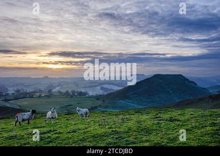 Thorpe Cloud von Thorpe Pasture, Peak District National Park, Derbyshire, England Stockfoto