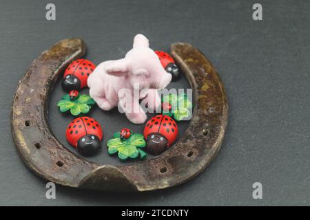 hufeisen, Glücksschwein, Käfer und vierblättriges Kleeblatt, Glückssymbole Stockfoto