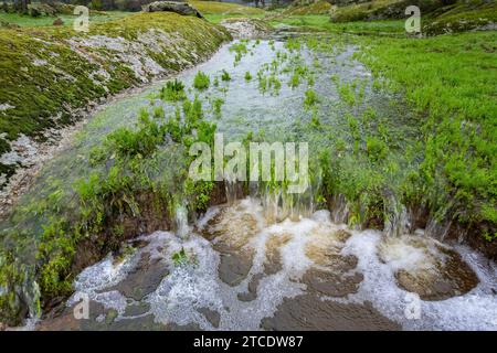 Eine atemberaubende Landschaft eines ruhigen Baches, der durch Dehesa de la Luz in Extremadura, Spanien fließt Stockfoto