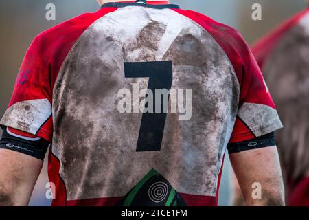 Englischer Amateur-Rugby-Union-Spieler mit einem dreckigen und matschigen Nummer-7-Shirt. Stockfoto