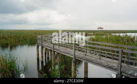 Holzsteg und Pavillon inmitten von Süßwassermoor, blauem Himmel, bewölkten Schildern und Verbotsschildern. Sam ROI Yot Freshwater Marsh oder Bueng Bua Khao Stockfoto