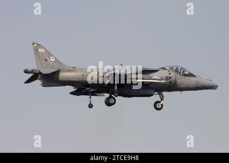 Eine Bae Harrier GR7 der Royal Air Force zeigt sich zum Biggin Hill Air Tarif 2005 Stockfoto