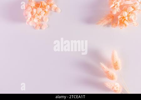Blumenzusammensetzung. Rahmen aus getrockneten Blüten von Pfirsichfarben auf weißem Hintergrund. Flach, Draufsicht, Kopierraum. Jahr 2024 Peach Fuzz Stockfoto