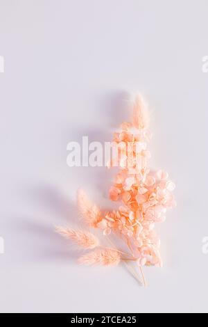 Blumenanordnung getrockneter Pfirsichblüten auf weißem Hintergrund mit Kopierraum. Vertikale Ansicht. Farbe des Jahres 2024 Peach Fuzz Stockfoto