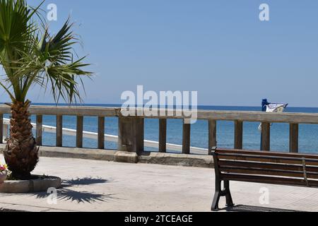 Betonsteg mit Bank und kleiner Palme Stockfoto