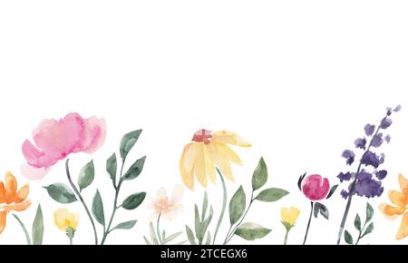 Farbenfrohe Sommerwiese mit Wildblumen. Cartoon Aquarell Blumen horizontale nahtlose Grenze isoliert auf transparentem Hintergrund. Abbildung für Karte, bo Stockfoto