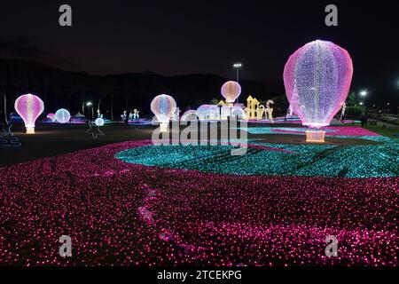 CHIANG Mai, THAILAND - 12. Dezember 2023 : Blick auf den Blumengarten mit schöner Beleuchtung während des Neujahrsfestes im bezaubernden Chiang Mai Flo Stockfoto