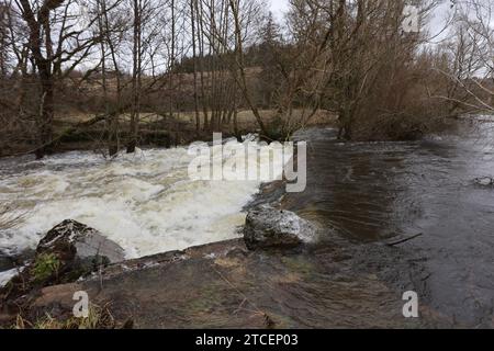 Tanne, Deutschland. Dezember 2023. Überflutete Wiesen im Oberharz bei Tanne. Die Warme Bode hat die Meldegrenze überschritten und ihre Banken geplatzt. Derzeit gibt es Hochwasserwarnungen für mehrere Flüsse in Sachsen-Anhalt, Alarmstufe 2. Quelle: Matthias Bein/dpa/Alamy Live News Stockfoto