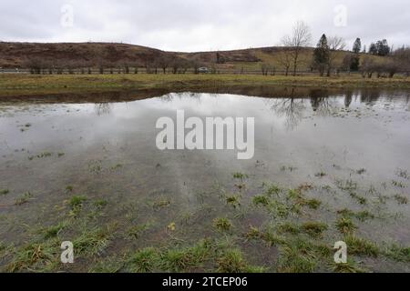 Tanne, Deutschland. Dezember 2023. Überflutete Wiesen im Oberharz bei Tanne. Die Warme Bode hat die Meldegrenze überschritten und ihre Banken geplatzt. Derzeit gibt es Hochwasserwarnungen für mehrere Flüsse in Sachsen-Anhalt, Alarmstufe 2. Quelle: Matthias Bein/dpa/Alamy Live News Stockfoto