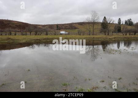 Tanne, Deutschland. Dezember 2023. Überflutete Wiesen im Oberharz bei Tanne. Die Warme Bode hat die Meldegrenze überschritten und ihre Banken geplatzt. Derzeit gibt es Hochwasserwarnungen für mehrere Flüsse in Sachsen-Anhalt, Alarmstufe 2. Quelle: Matthias Bein/dpa/Alamy Live News Stockfoto