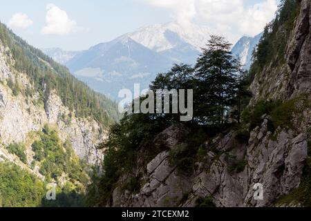 Saugasse, Kärlingerhaus, Nationalpark Berchtesgaden im Herbst Stockfoto