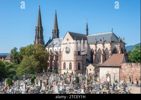 Blick auf die Kirche der Heiligen Peter und Paul, Obernai, Elsass, Frankreich, Europa Stockfoto