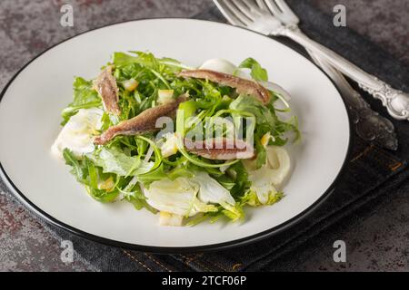 Erfrischender Sardellensalat mit Rucola, Fenchel, roten Zwiebeln und eingelegten Zitronen aus nächster Nähe auf einem Teller auf dem Tisch. Horizontal Stockfoto