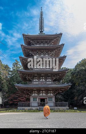Fünfstöckige Pagode des Daigo-JI-Tempels und Mönche von hinten gesehen Stockfoto