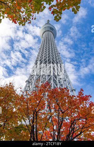 Tokyo Sky Tree von unten gesehen Stockfoto