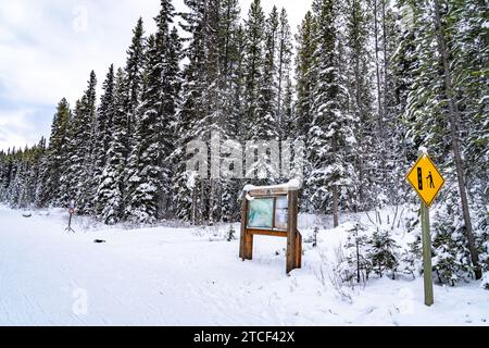 Moraine Lake Road ist im Winter wegen Lawinen in der Gegend geschlossen Stockfoto