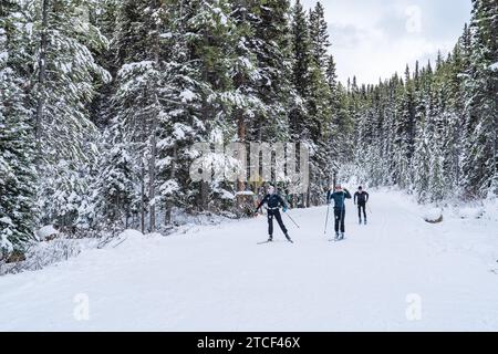 Skilanglauf auf der Moraine Lake Road im Winter Stockfoto