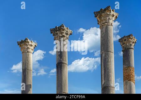 Korinthische Säulen des römischen Kapitolinischen Tempels in Volubilis, ausgegrabene Berber-römische Stadt aus dem alten Mauretanien bei Meknes, Fes-Meknes, Marokko Stockfoto